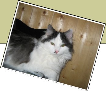Bild : MIMI